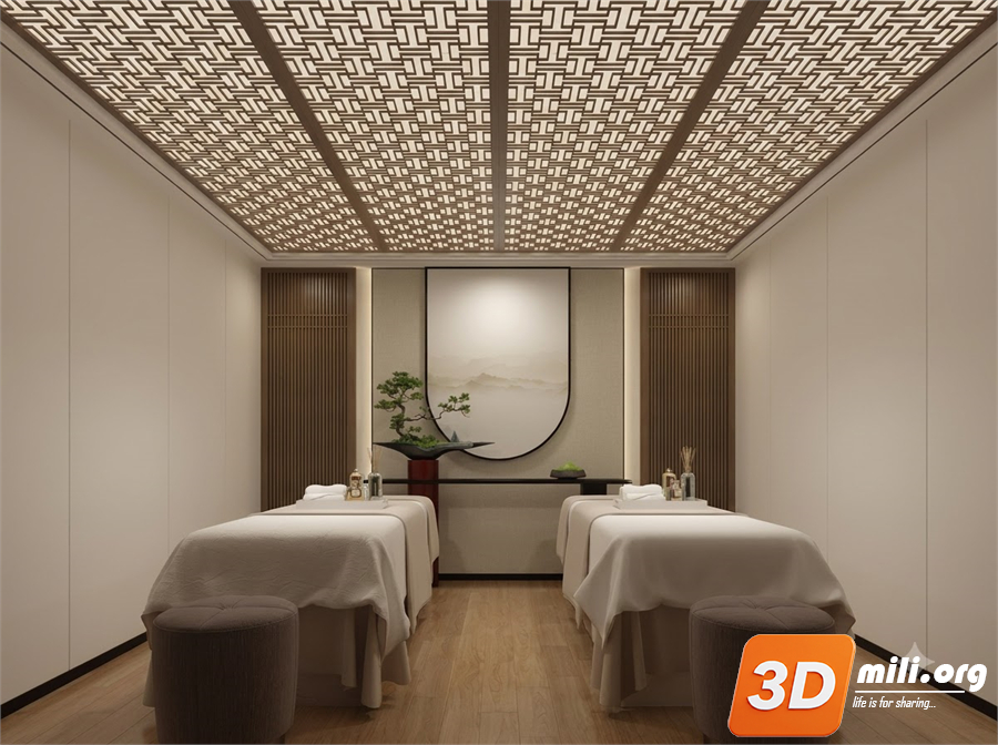 Spa Skp Files 